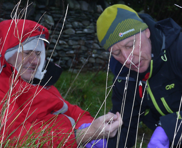 Snowdonia Peaks and Valleys